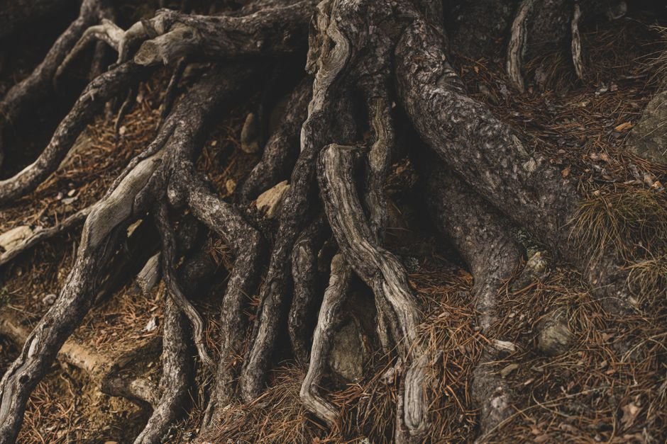Understanding the Root Causes of Bad Breath